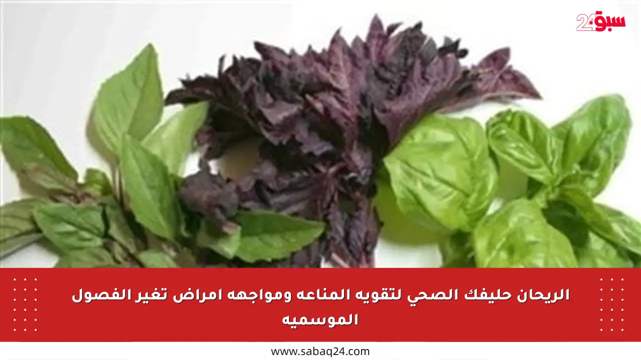 الريحان حليفك الصحي لتقوية المناعة ومواجهة أمراض تغير الفصول الموسمية